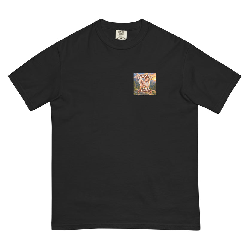 Led Zap Asher Mountain Tee, front view